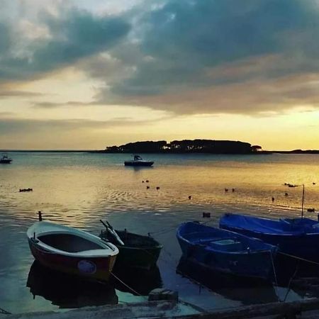 B&B Fior Di Mare Porto Cesareo Exterior photo